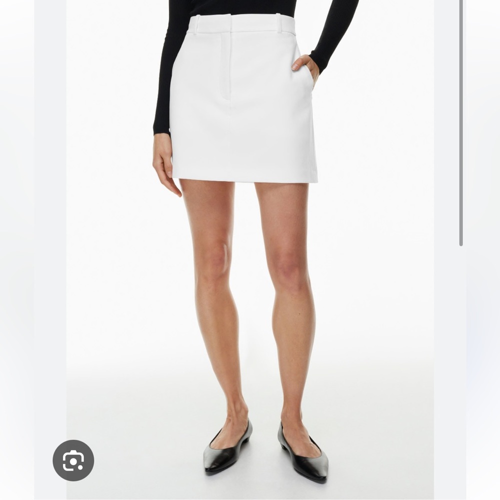 Babaton Chisel Skirt size 8 NWT